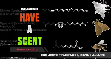 Does Estrogen Have a Scent? Unraveling the Science Behind Pheromones