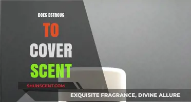 Does Estrous Scent Enhance Cover Effectiveness for Hunting Success?
