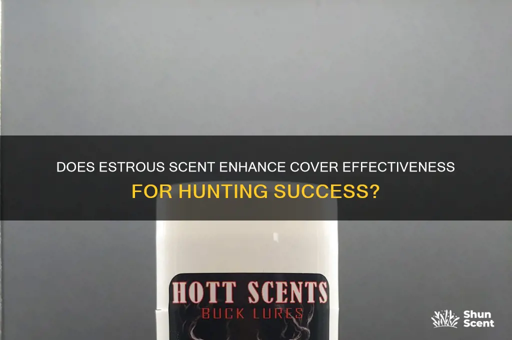 does estrous to cover scent