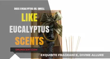 Does Eucalyptus Oil Truly Capture the Fresh Scent of Eucalyptus?