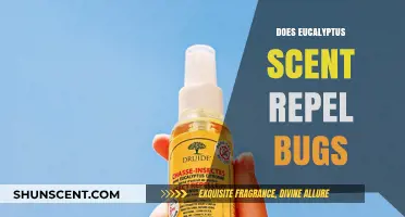Does Eucalyptus Scent Repel Bugs? Unveiling the Natural Pest Control Truth