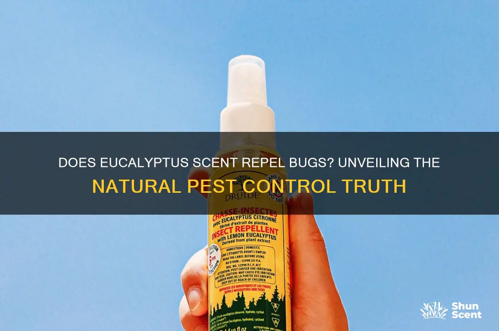 does eucalyptus scent repel bugs