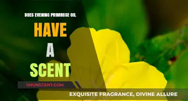 Does Evening Primrose Oil Have a Scent? Uncovering the Truth