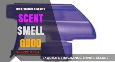 Fabuloso Lavender Scent Review: A Fresh, Soothing Aroma Worth Trying?