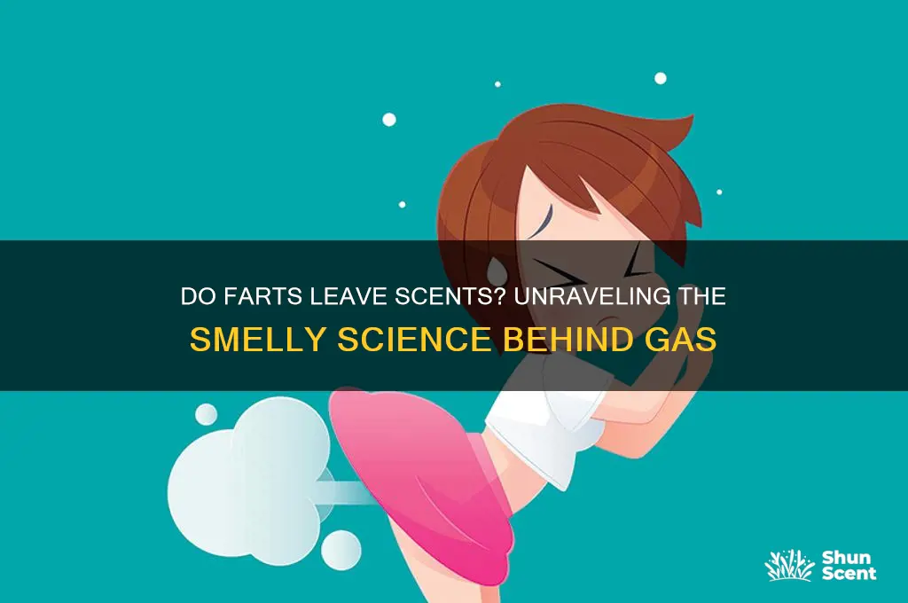 does farts leave scents