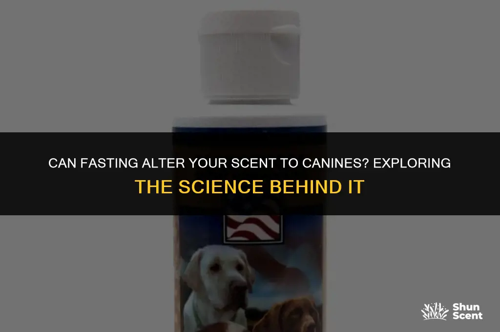 does fasting change your smell to dogs