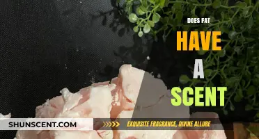 Does Fat Have a Scent? Unraveling the Science Behind Aromas