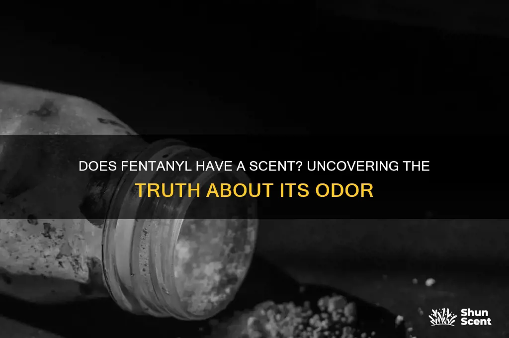 does fentanyl have a scent