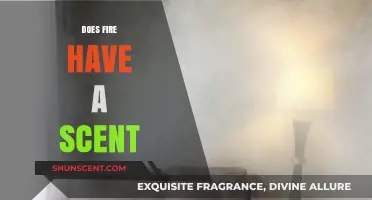 Does Fire Have a Scent? Unraveling the Mystery of Smoky Aromas