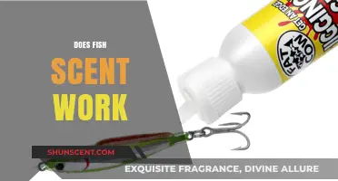 Does Fish Scent Really Work? Uncovering the Truth for Anglers