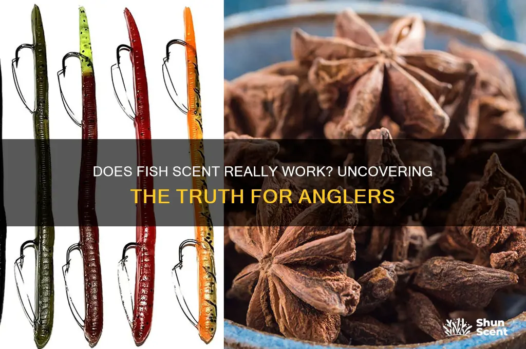 does fish scent work