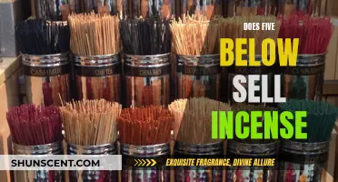 Incense at Five Below: What's the Deal?