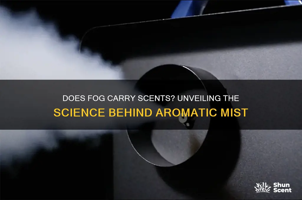 does fog carry scents