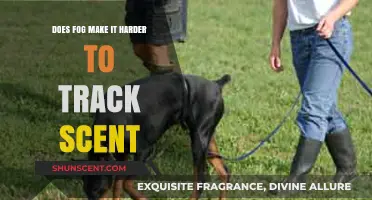 Fog's Impact on Scent Tracking: Challenges for Humans and Animals