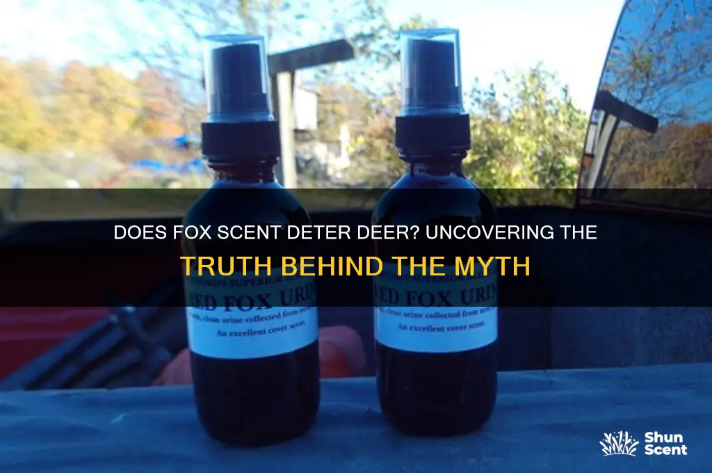 does fox scent deter deer