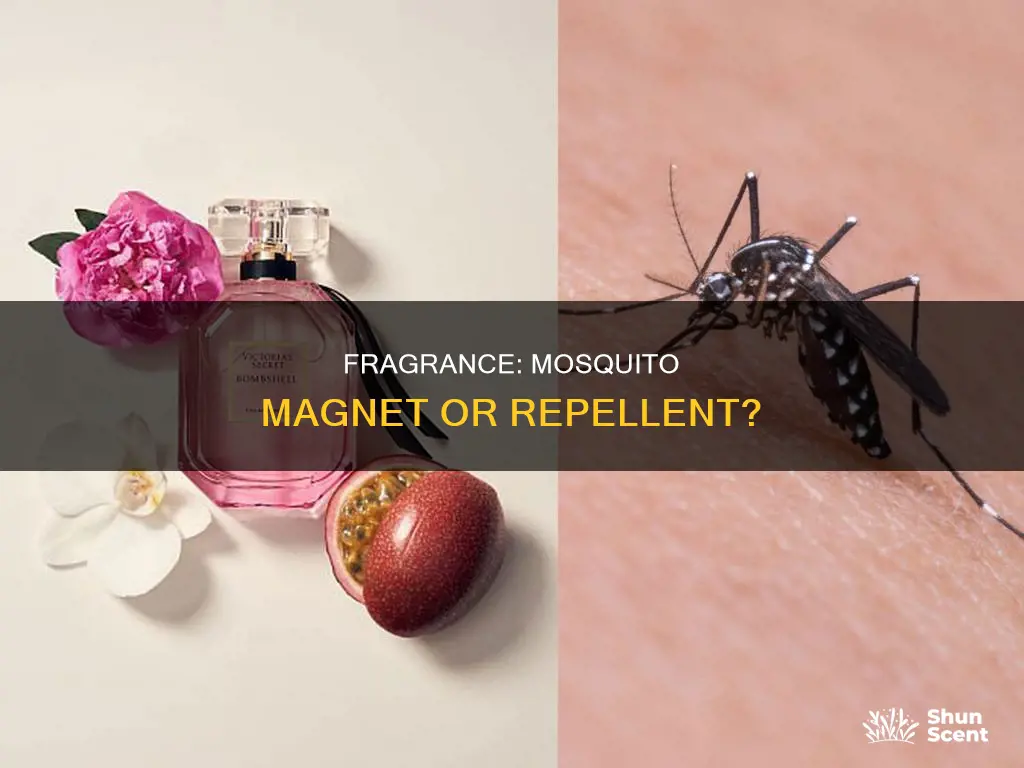 does fragrance attract mosquitoes