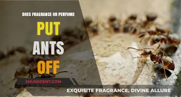 Ants Deterred: The Power of Scent in Keeping Ants Away