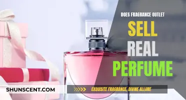 Authentic Scents: Fragrance Outlet's Perfume Offerings Examined