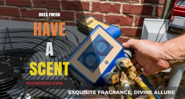 Does Freon Have a Scent? Uncovering the Truth About Its Odor