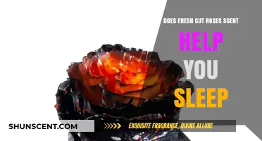 Fresh Cut Roses Scent: A Natural Sleep Aid or Myth?
