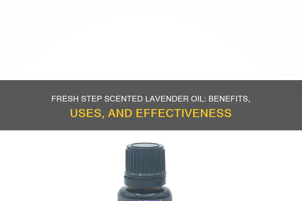 does fresh step scented lavender oil