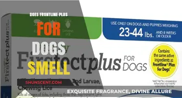 Unveiling the Truth: Does Frontline Plus for Dogs Have a Scent?