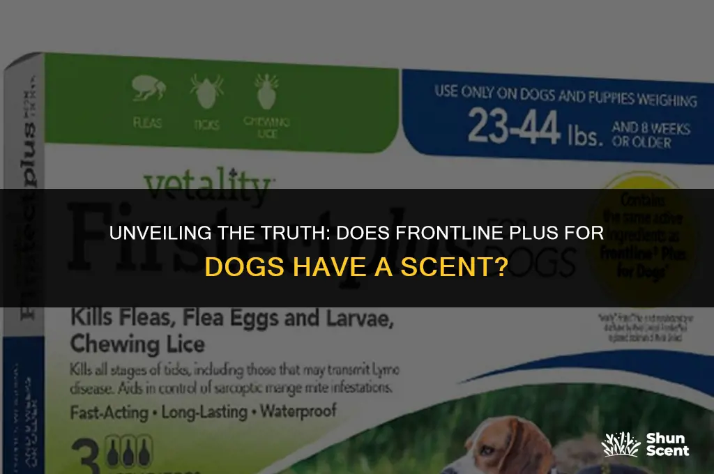 does frontline plus for dogs smell