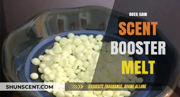 Does Gain Scent Booster Melt? Uncovering the Truth for Fresh Laundry
