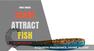 Garlic Scent Lure: Does It Really Attract Fish Effectively?
