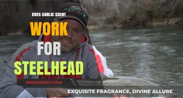 Garlic Scent for Steelhead: Effective Technique or Fishing Myth?