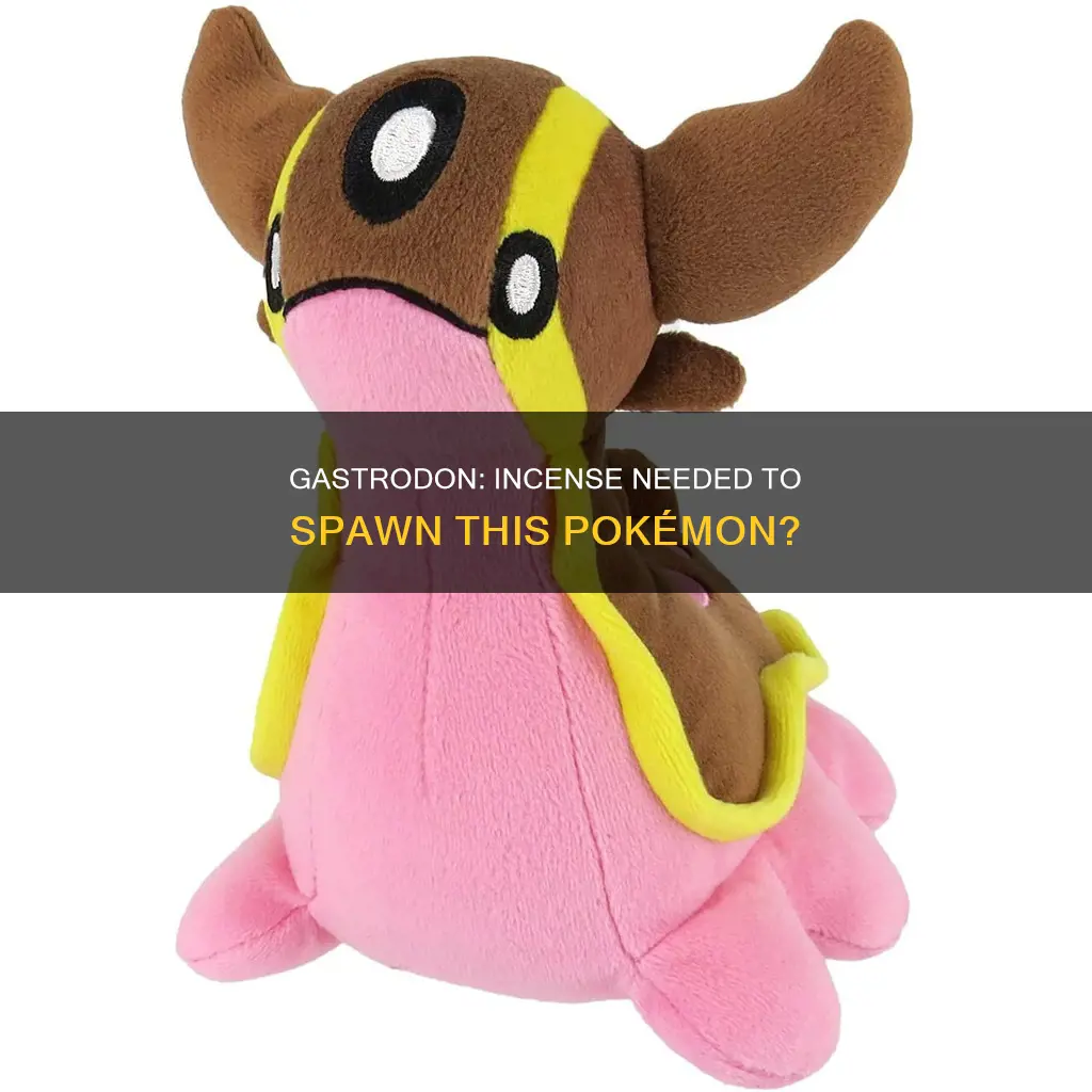 does gastrodon require an incense