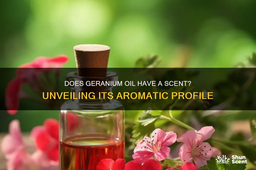 does geranium oil have a scent