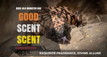 Gila Monster's Surprising Scent: Uncovering Its Olfactory Abilities