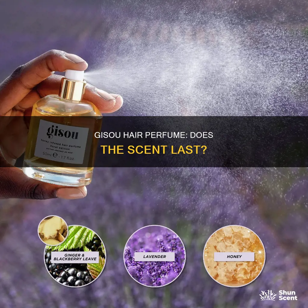 does gisou hair perfume last