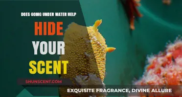 Can Submerging in Water Effectively Conceal Your Scent? Exploring the Myth