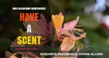 Goldflame Honeysuckle's Sweet Aroma: Unveiling Its Fragrant Secrets
