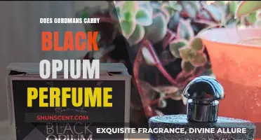 Gordmans Black Opium Perfume: Where to Find It