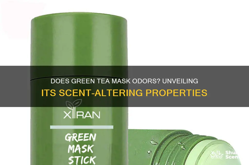 does green tea throw a scent off