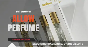 Greyhound's Scented Policy: Can You Bring Perfume?