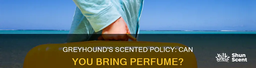 does greyhound allow perfume