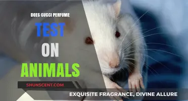 Gucci Perfume: Animal Testing or Cruelty-Free?