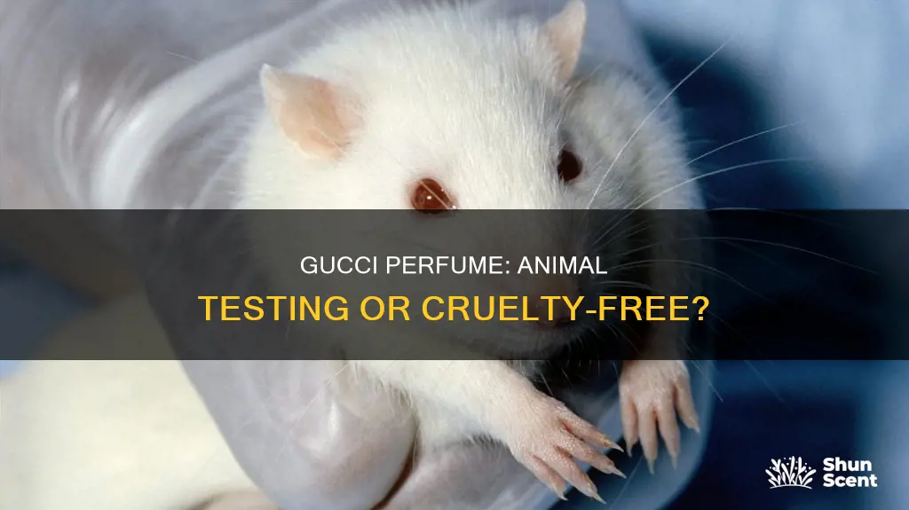 does gucci perfume test on animals