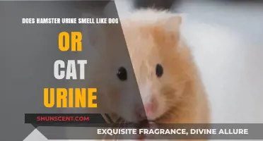Comparing Scents: Does Hamster Urine Smell Like Dog or Cat Urine?
