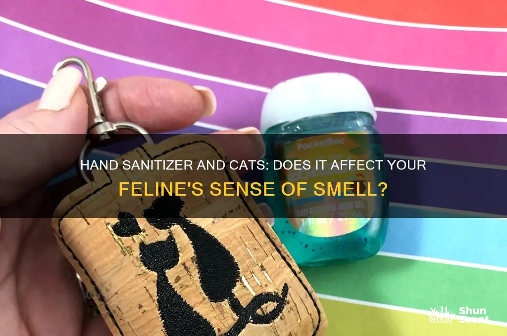does hand sanitizer throw off my scent for my cat