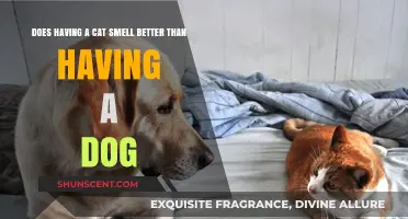 Feline Freshness vs. Canine Odor: Which Pet Leaves a Better Scent?