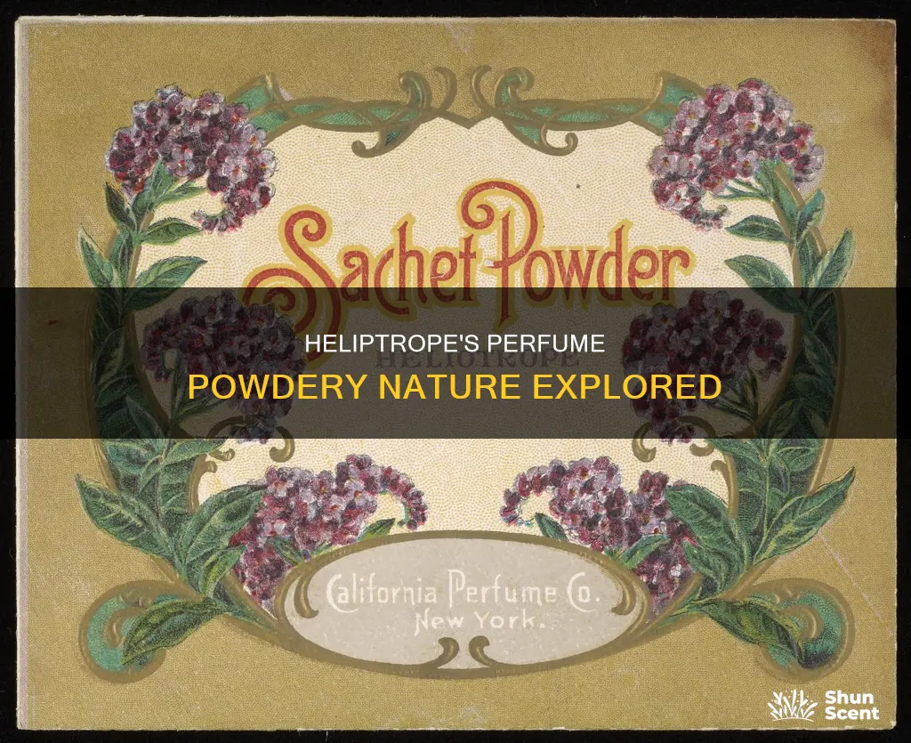 does heliptrope in perfumes lean powdery