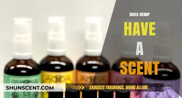 Does Hemp Have a Scent? Uncovering the Aromatic Truth About Hemp