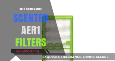 Holmes Scented Aer1 Filters: Fact or Fiction? Exploring the Truth