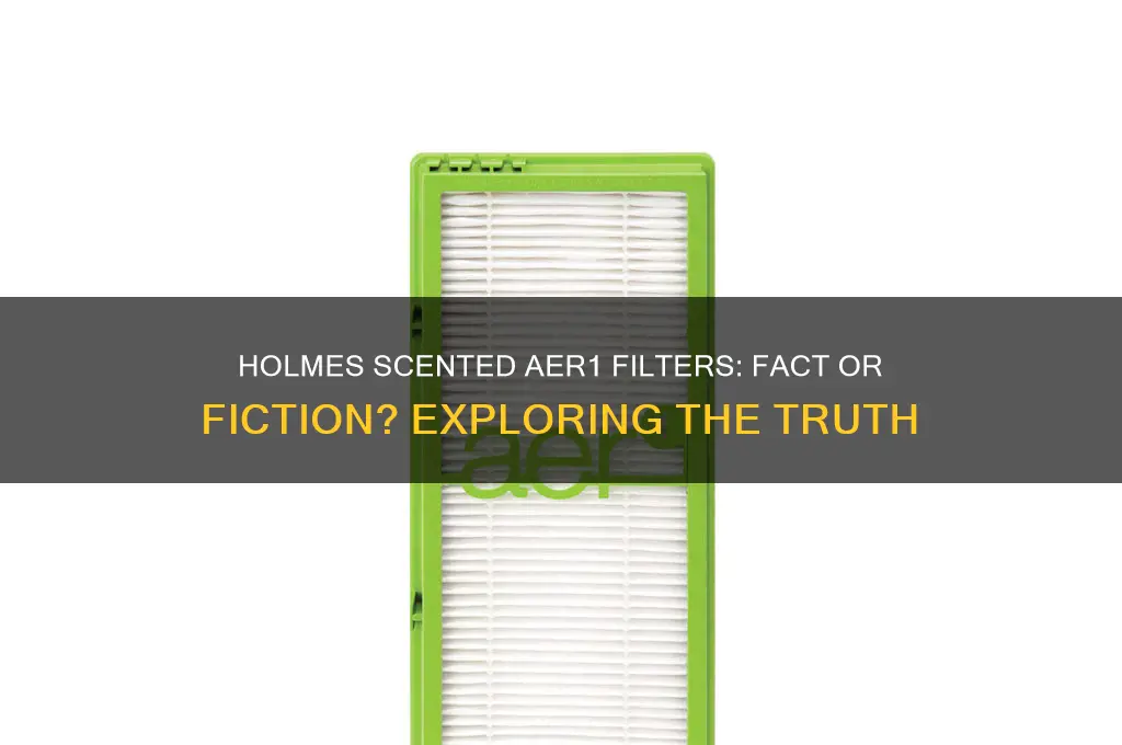 does holmes make scented aer1 filters