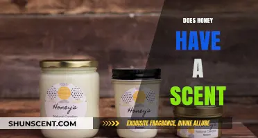 Does Honey Have a Scent? Unveiling the Aromatic Secrets of Nature's Gold